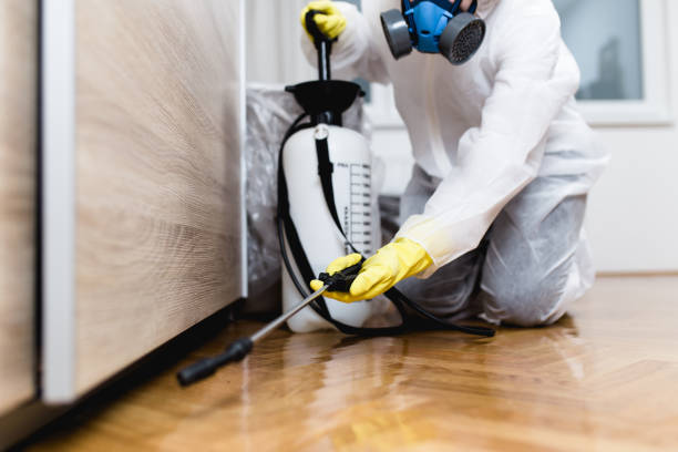 Best Residential Pest Control  in Meggett, SC