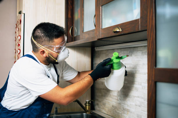 Best Bed Bug Extermination  in Meggett, SC