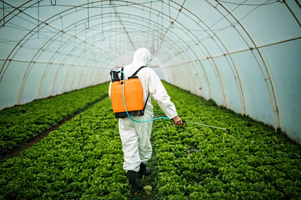 Pest Prevention Services in Meggett, SC