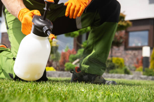 Best Pest Control Near Me  in Meggett, SC