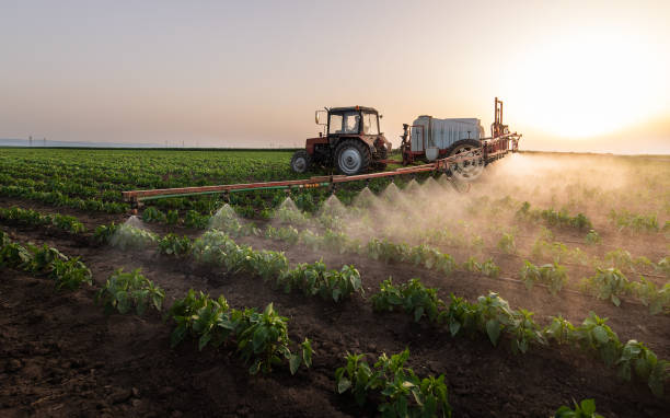 Best Mosquito Control Services  in Meggett, SC