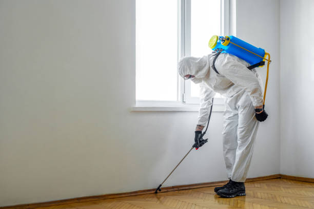 Best Best Pest Control Companies  in Meggett, SC