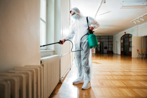 Reliable Meggett, SC Pest Control Solutions