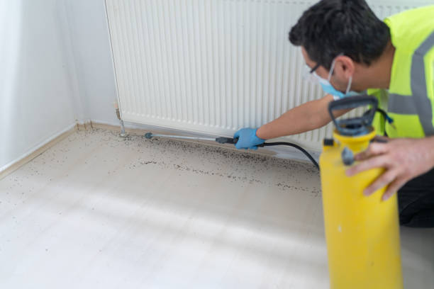 Best Ant Control Services  in Meggett, SC