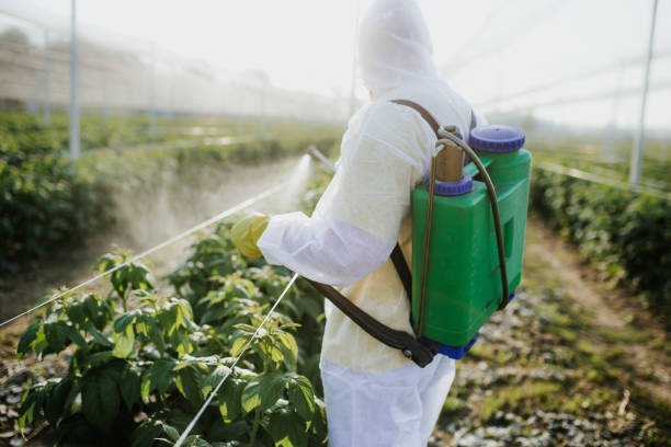 Best Best Pest Control Companies  in Meggett, SC